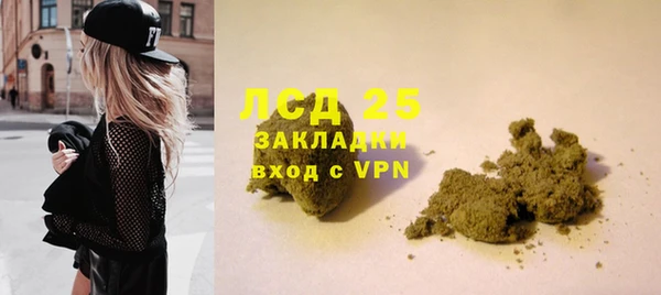 хмурый Алексин