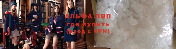 хмурый Алексин