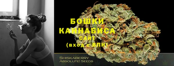 ПСИЛОЦИБИНОВЫЕ ГРИБЫ Алексеевка