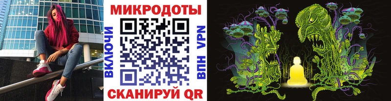 Псилоцибиновые грибы GOLDEN TEACHER  как найти закладки  Кувшиново 